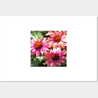 Bright Summer Vibe Flowers Posters and Art